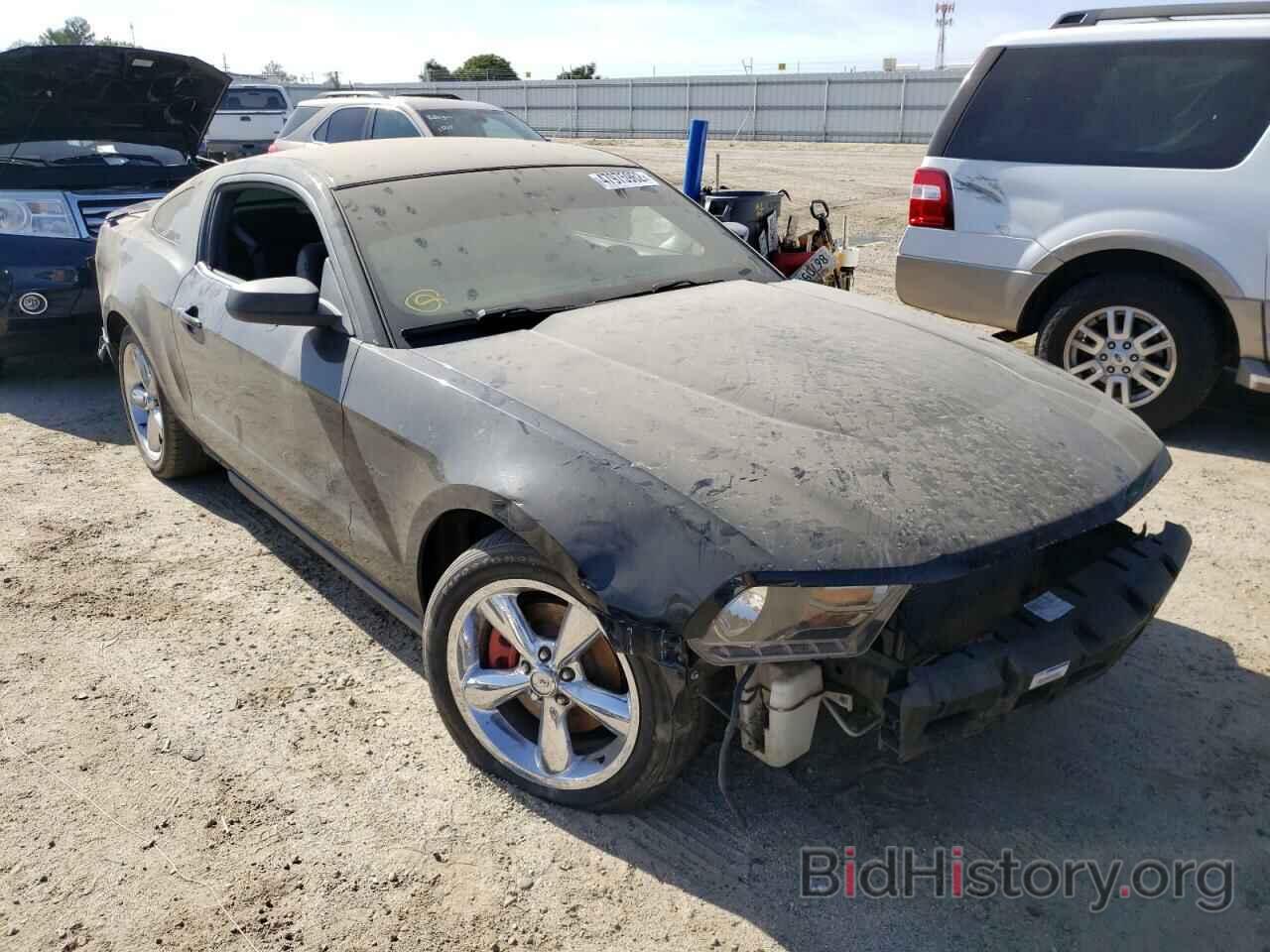 Photo 1ZVBP8CH3A5176465 - FORD MUSTANG 2010