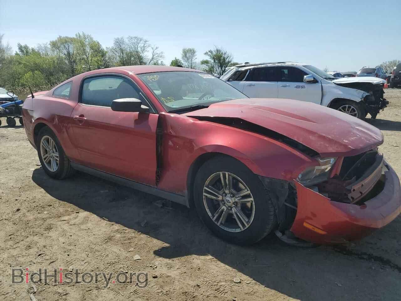 2011 FORD MUSTANG - VIN: 1ZVBP8AM8B5144483 - Фото 4