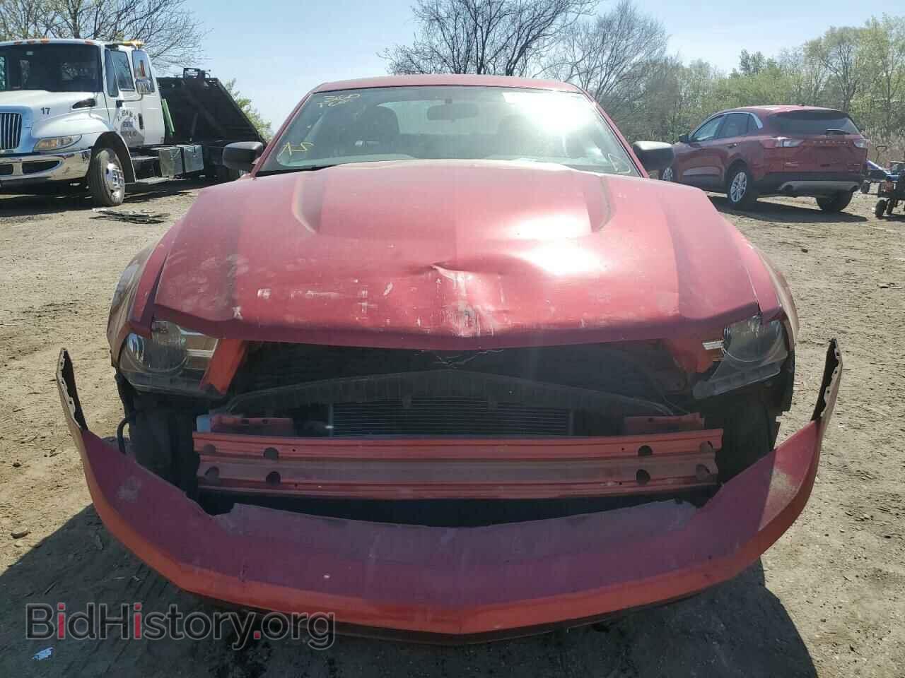 2011 FORD MUSTANG - VIN: 1ZVBP8AM8B5144483 - Фото 5