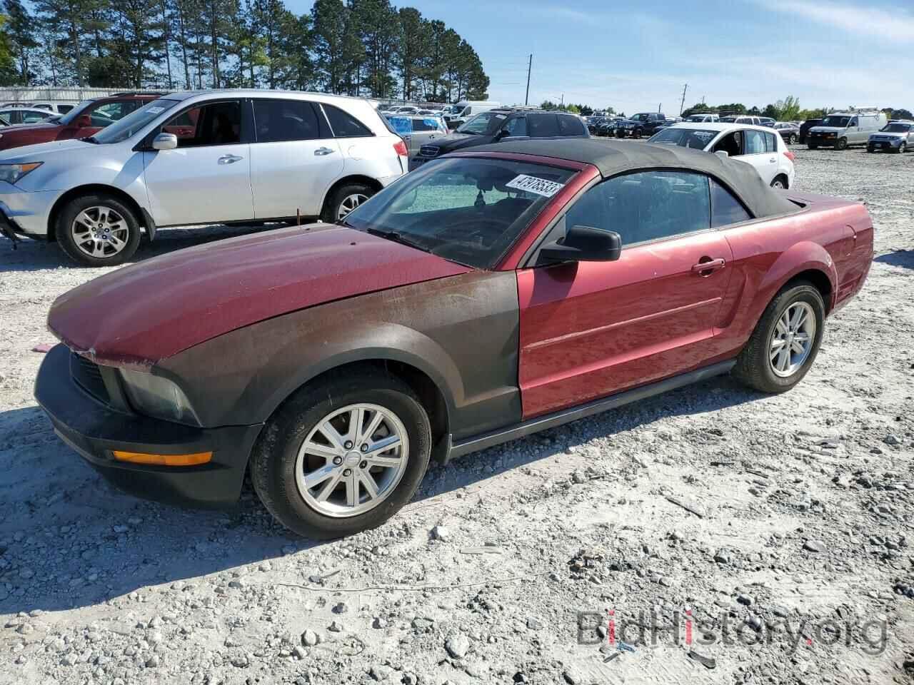 Photo 1ZVFT84N375301488 - FORD MUSTANG 2007