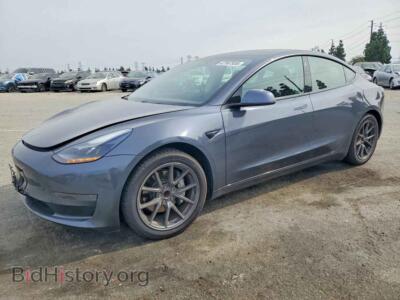 2021 Tesla MODEL 3, charcoal — VIN 5YJ3E1EA2MF939325, Copart
