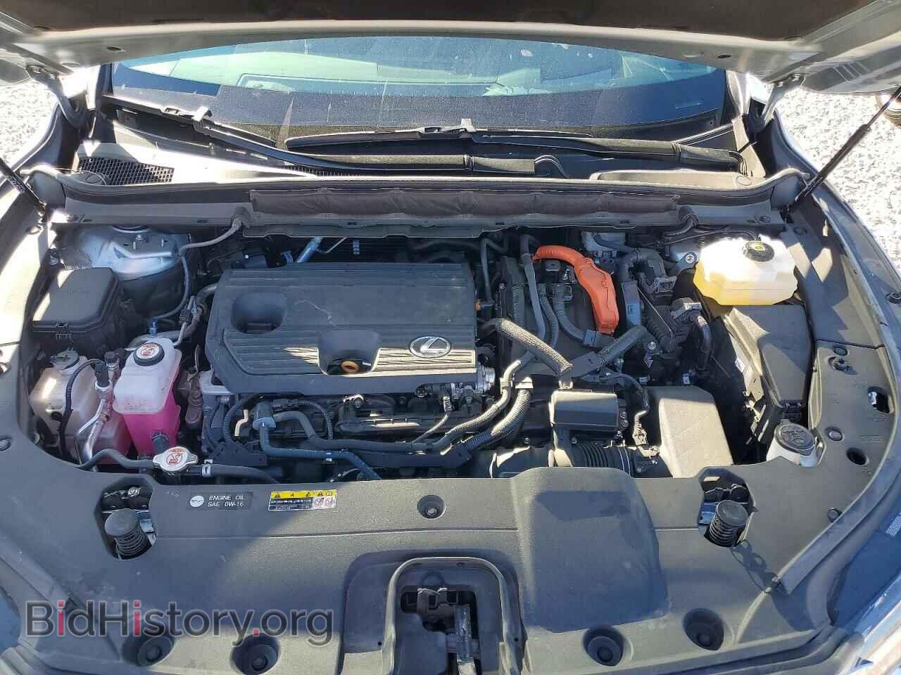 2024 LEXUS UNKNOWN - VIN: 2T2BBMCA6RC044355 - Photo 12
