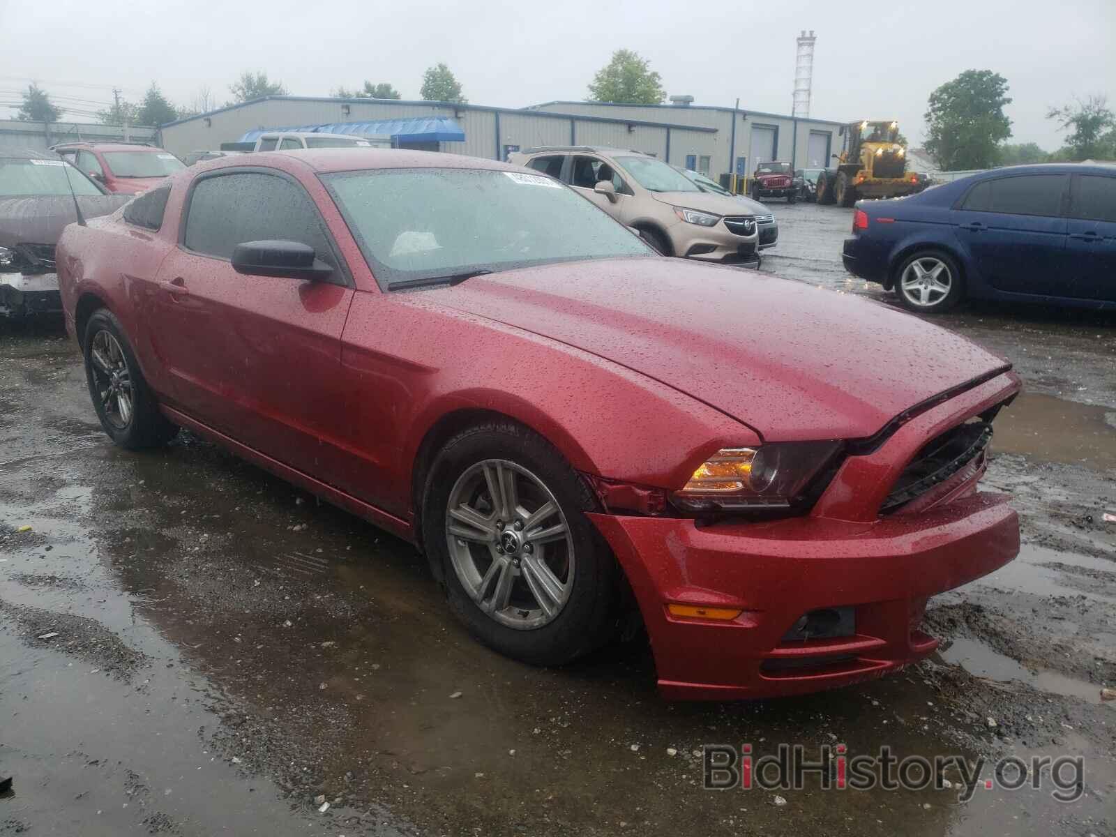 Photo 1ZVBP8AM1E5317992 - FORD MUSTANG 2014