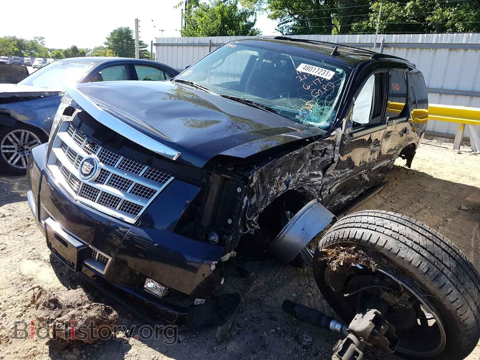 2013 CADILLAC ESCALADE - VIN: 1GYS4DEF5DR219694 - Фото 2