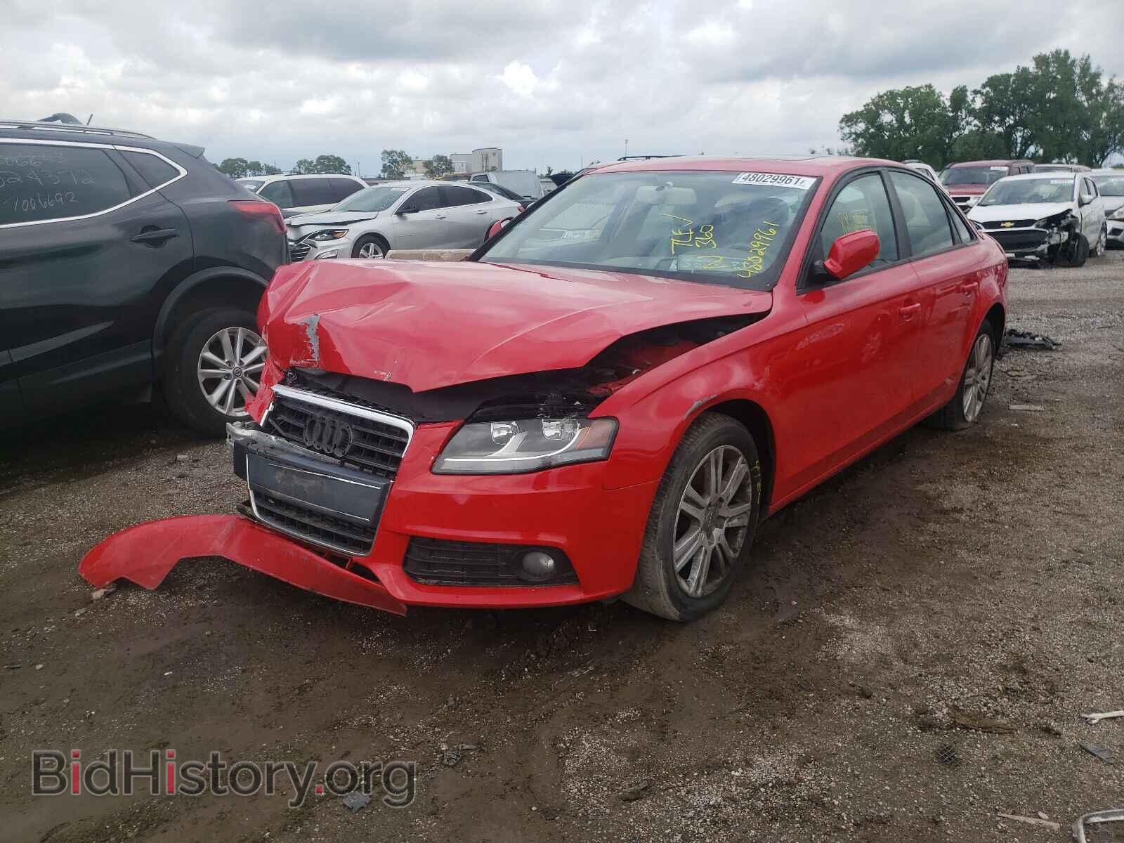 2011 AUDI A4 - VIN: WAUAFAFL4BN052048 - Фото 2