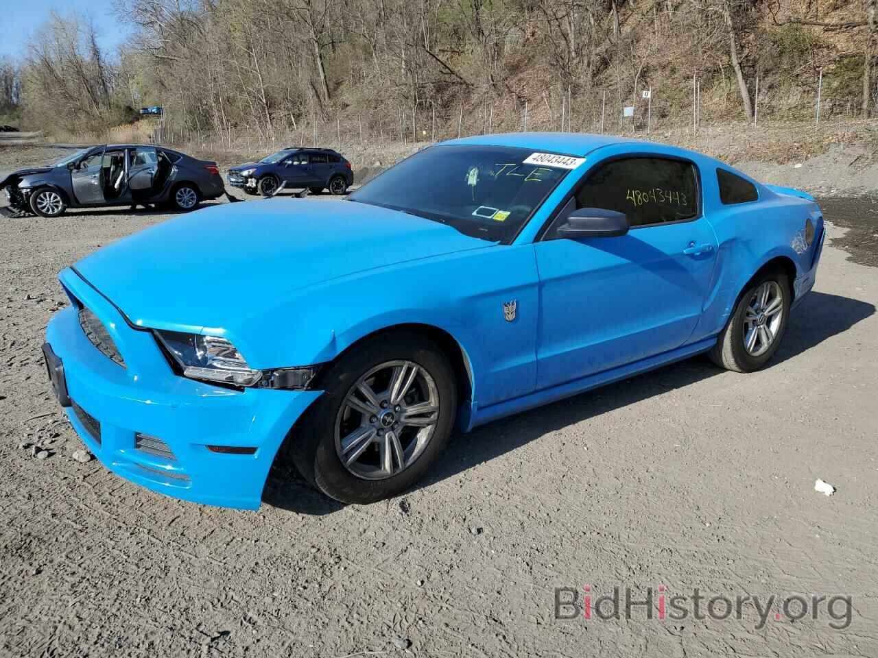 Photo 1ZVBP8AM8D5261211 - FORD MUSTANG 2013