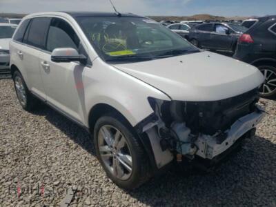 2014 Ford EDGE Edge Limit, white — VIN 2FMDK4KC5EBA10681, Copart