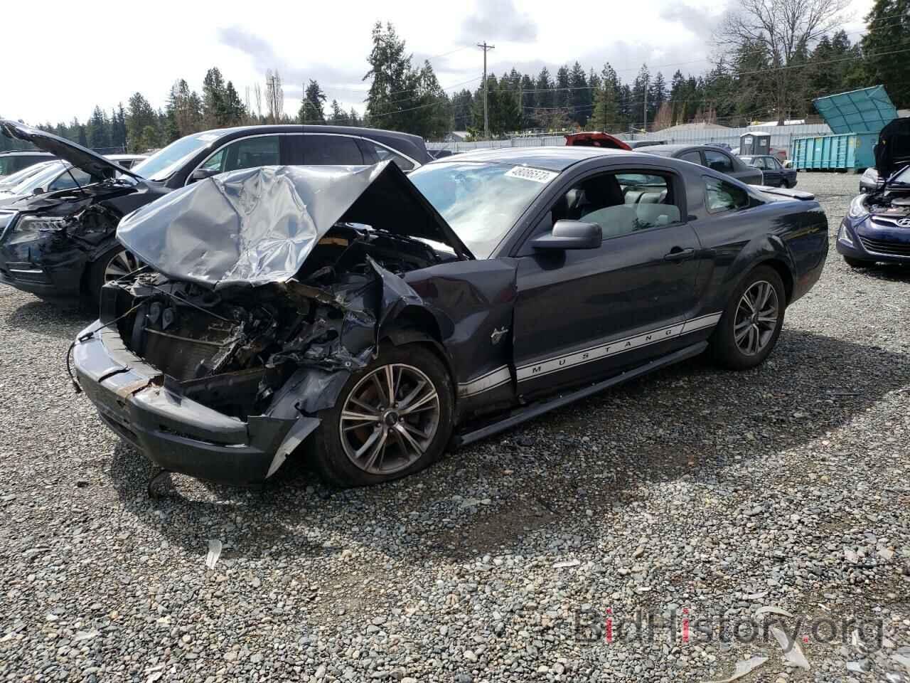 Photo 1ZVHT80N995136922 - FORD MUSTANG 2009