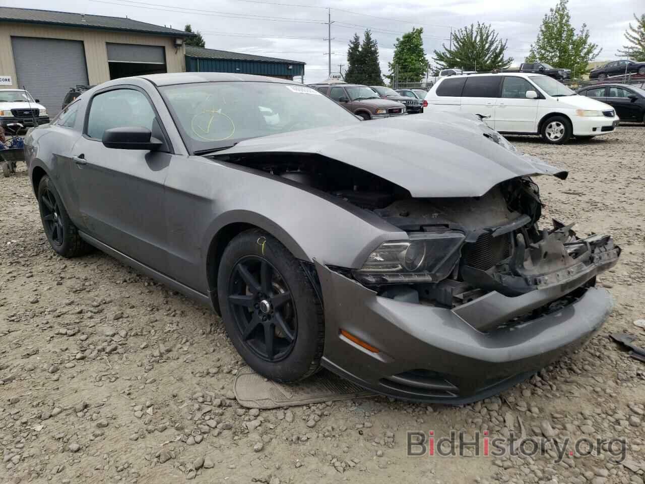 Photo 1ZVBP8AM2E5252909 - FORD MUSTANG 2014