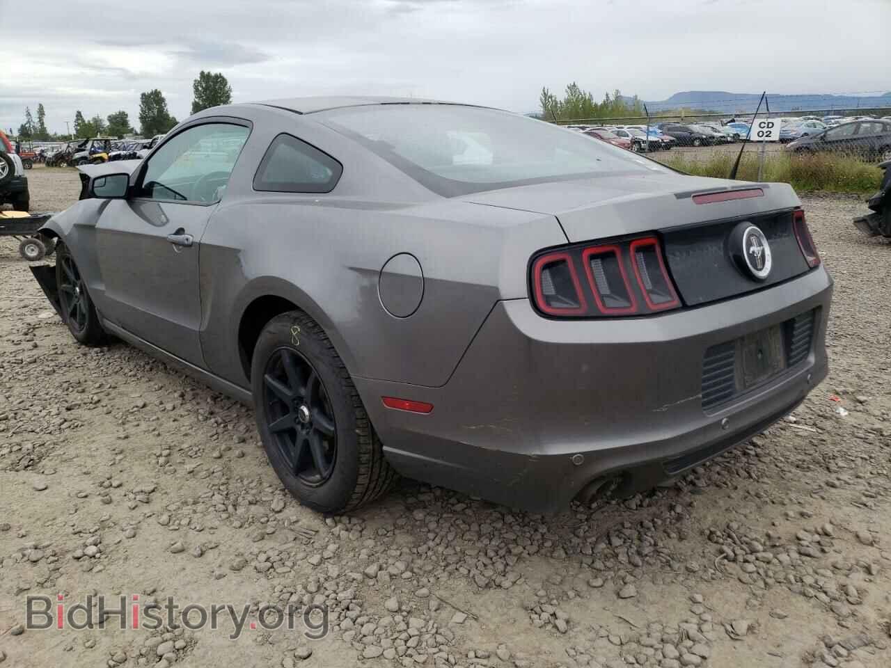 2014 FORD MUSTANG - VIN: 1ZVBP8AM2E5252909 - Фото 3