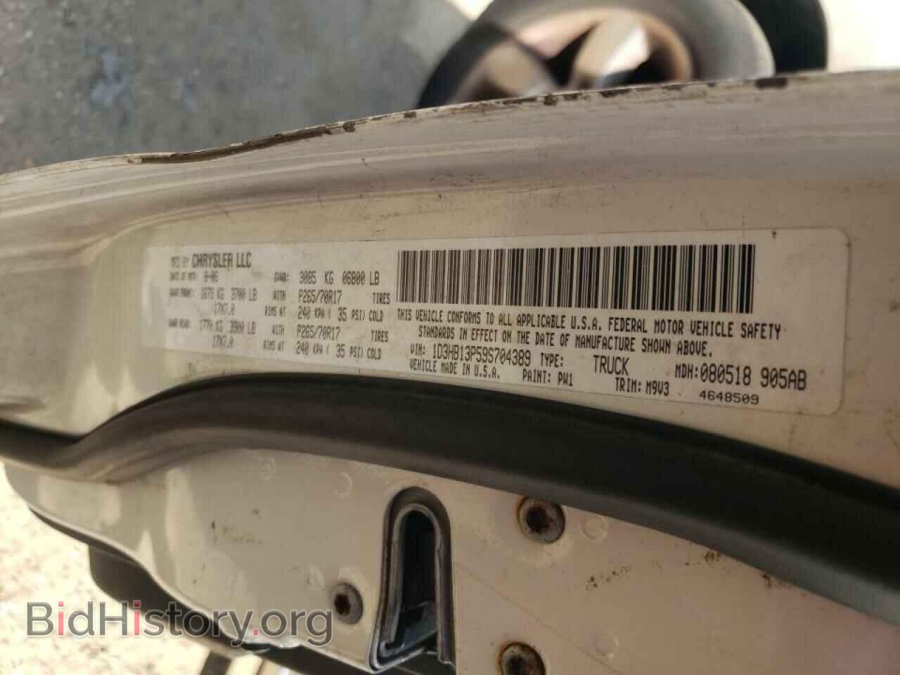 2009 DODGE RAM 1500 - VIN: 1D3HB13P59S704389 - Фото 10