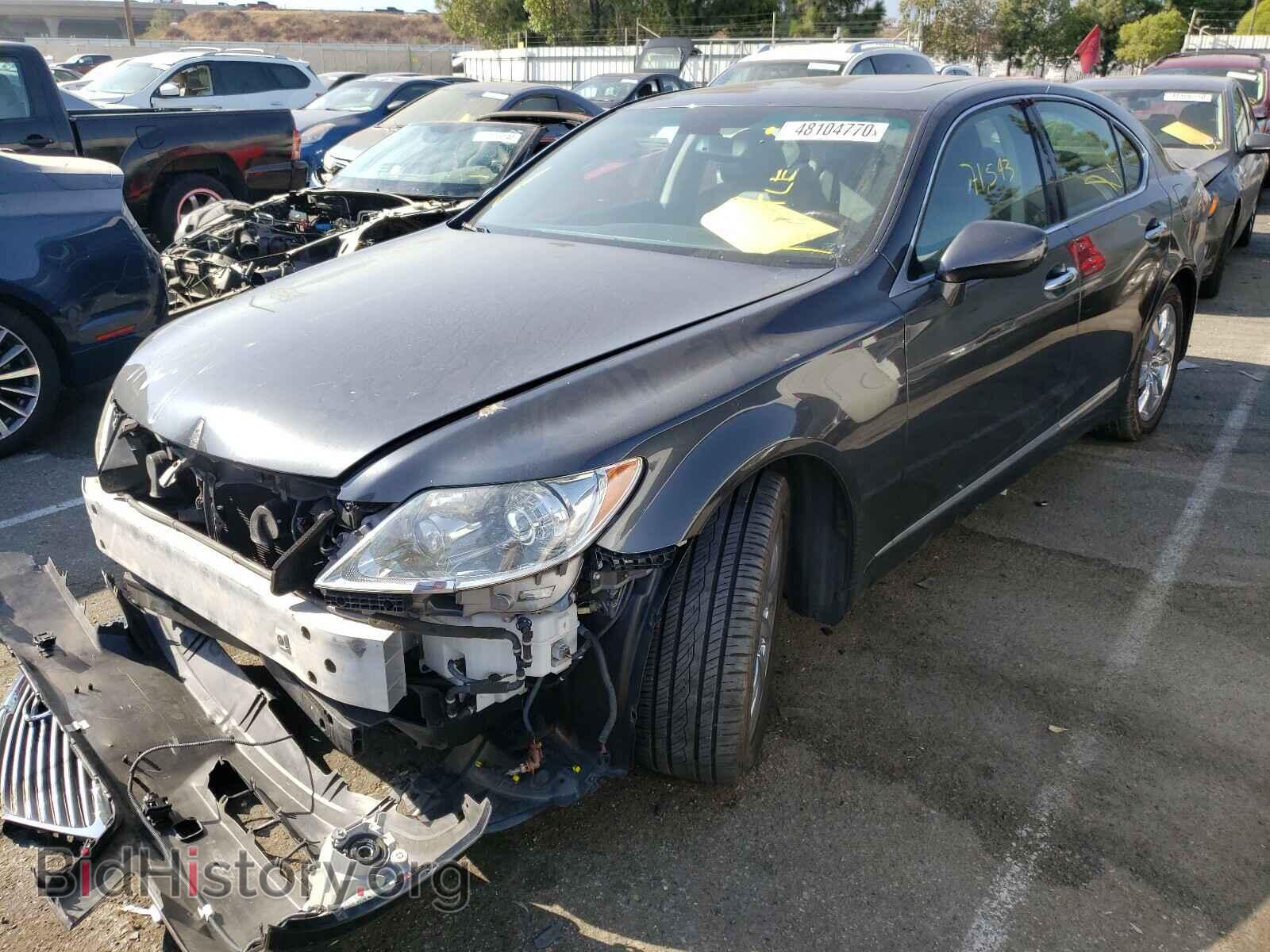 2009 LEXUS LS460 - VIN: JTHBL46F595091462 - Фото 2