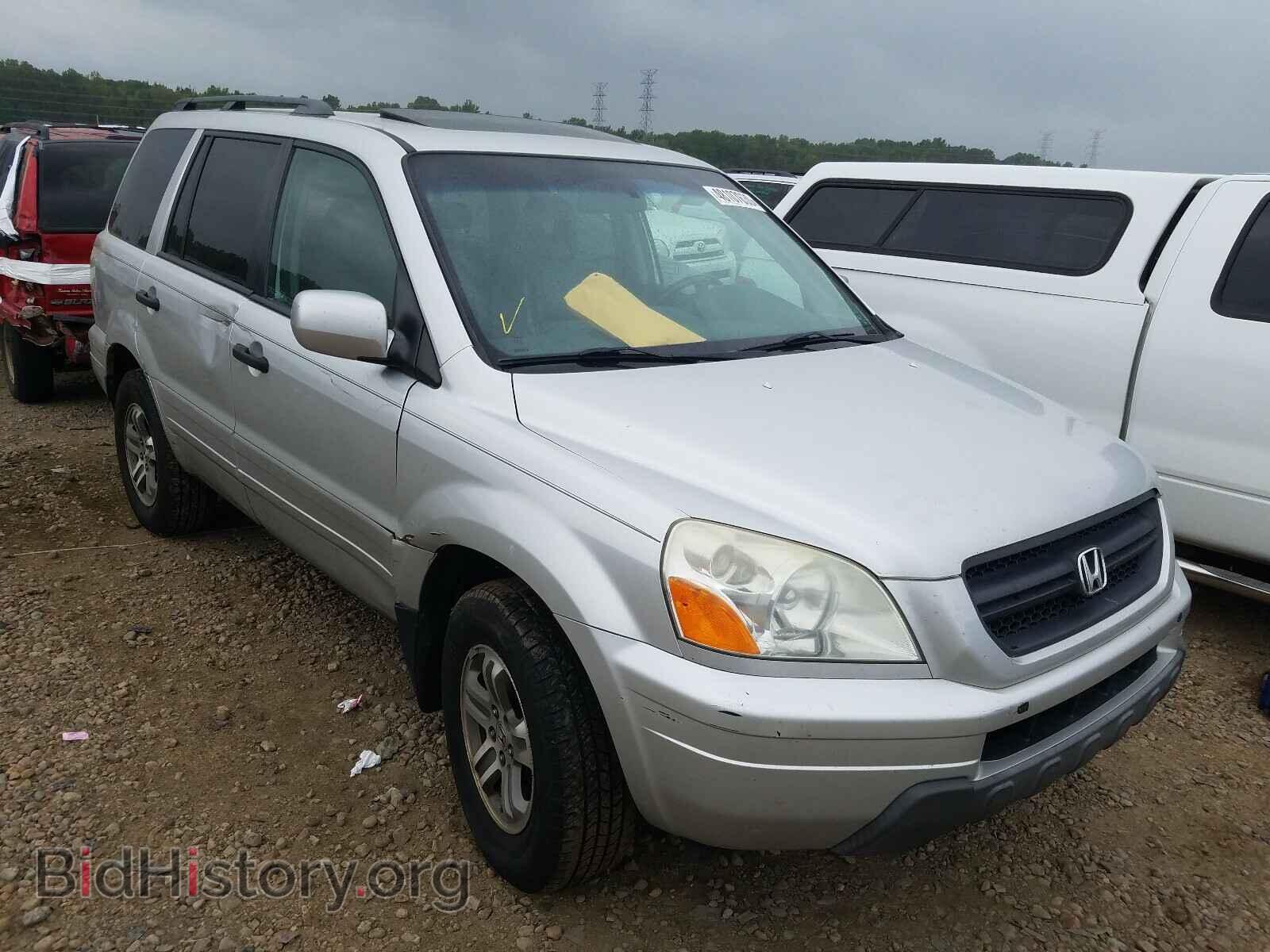 Photo 5FNYF18645B007851 - HONDA PILOT 2005