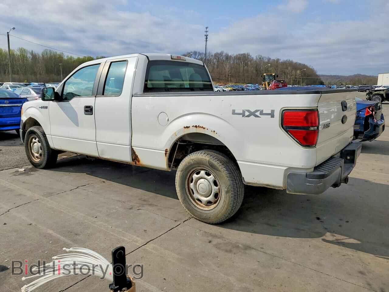 2011 FORD F150 - VIN: 1FTFX1EF6BFB68492 - Фото 2