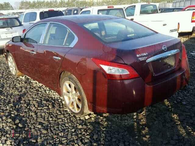 2009 NISSAN MAXIMA S - VIN: 1N4AA51E59C857005 - Фото 3