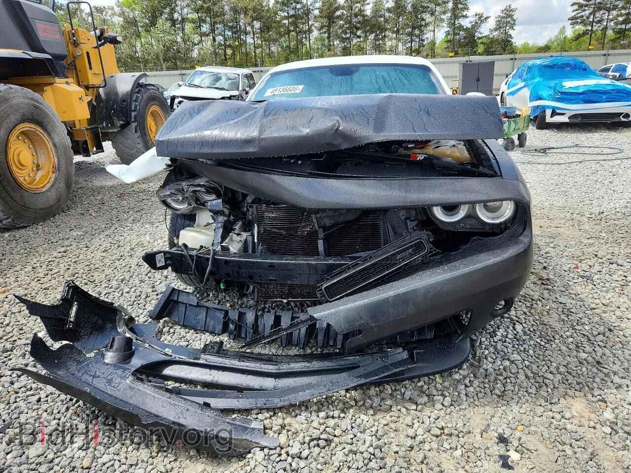 2019 DODGE CHALLENGER - VIN: 2C3CDZJG2KH557741 - Фото 5