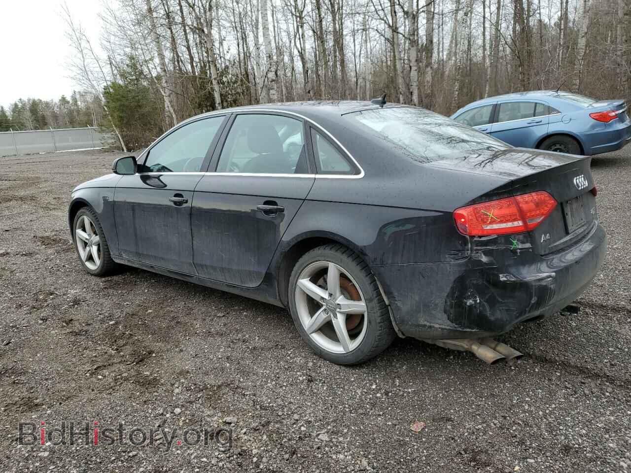 2011 AUDI A4 - VIN: WAUFFCFL4BN033307 - Фото 2
