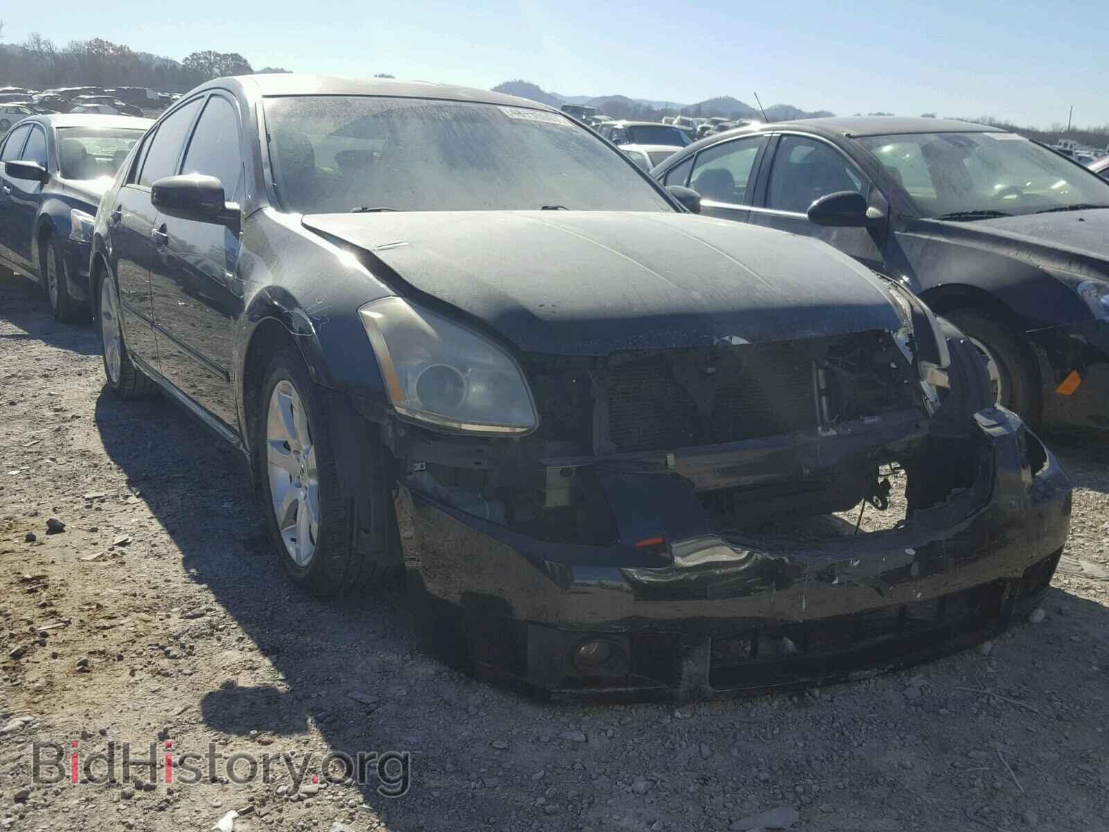 Фотография 1N4BA41E48C829077 - NISSAN MAXIMA 2008