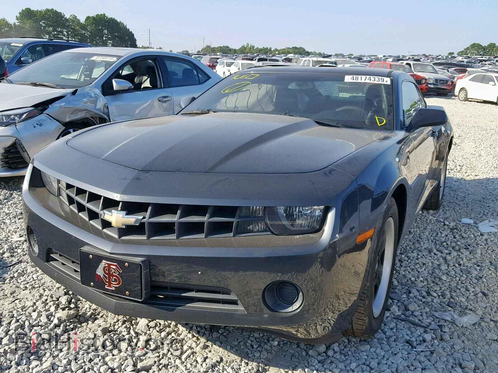 2013 CHEVROLET CAMARO - VIN: 2G1FA1E36D9205066 - Фото 2