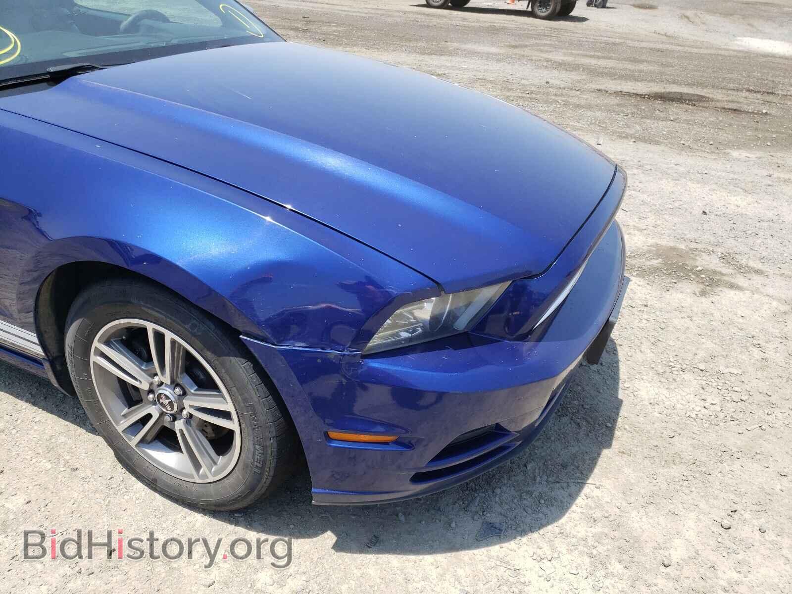 2013 FORD MUSTANG - VIN: 1ZVBP8AM5D5227632 - Photo 9