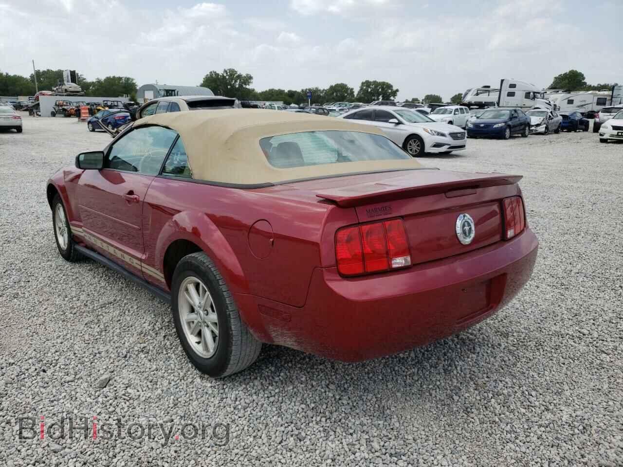 2007 FORD MUSTANG - VIN: 1ZVFT84N775245331 - Фото 3
