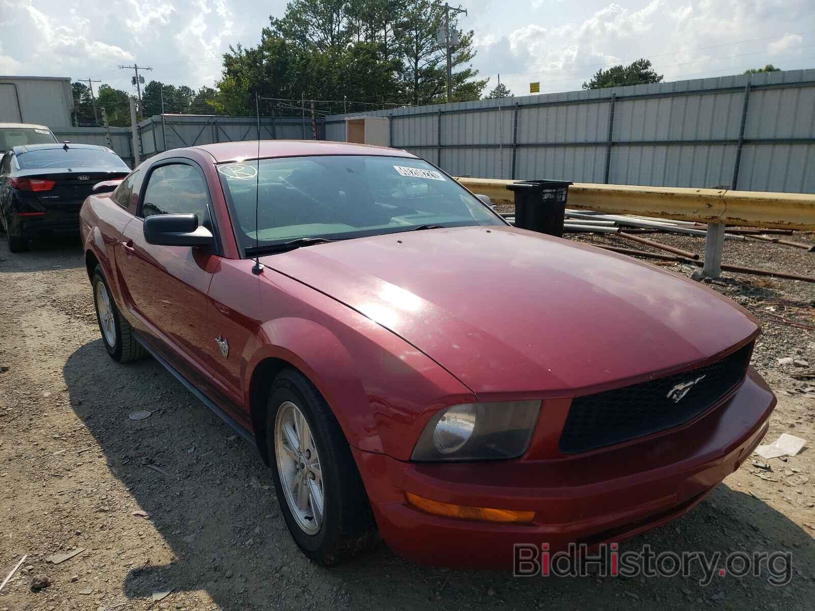 Photo 1ZVHT80N195127020 - FORD MUSTANG 2009