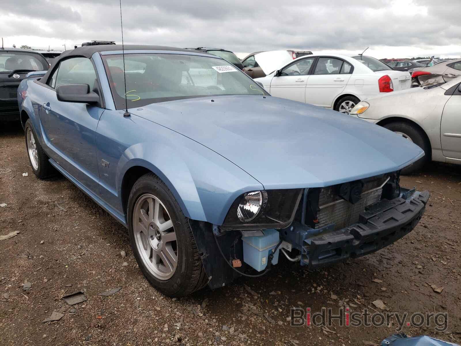 Photo 1ZVHT85H665210375 - FORD MUSTANG 2006