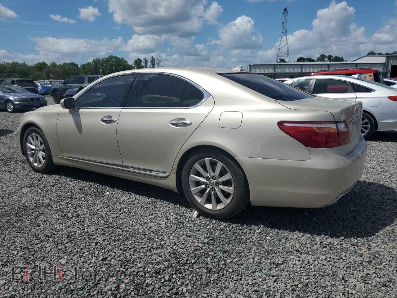 2011 LEXUS LS460 - VIN: JTHBL5EF2B5105525 - Photo 2