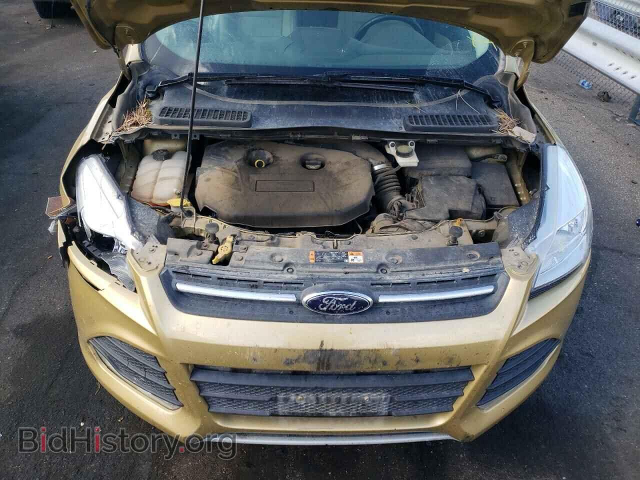 2014 FORD ESCAPE - VIN: 1FMCU9G96EUD44051 - Photo 7