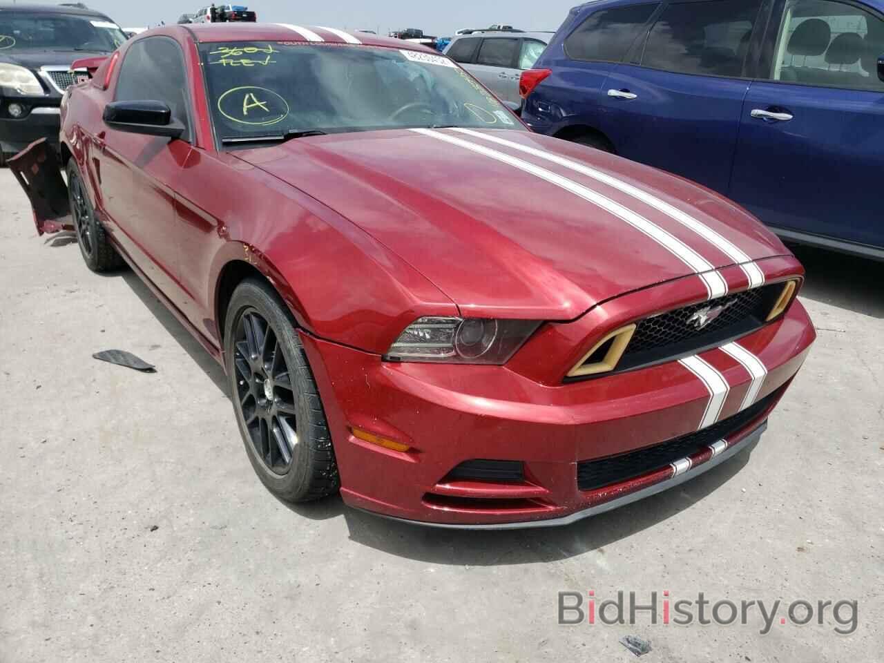Photo 1ZVBP8AM2E5332288 - FORD MUSTANG 2014