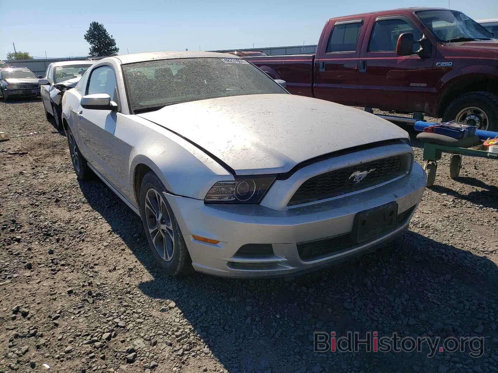Photo 1ZVBP8AM0E5278828 - FORD MUSTANG 2014