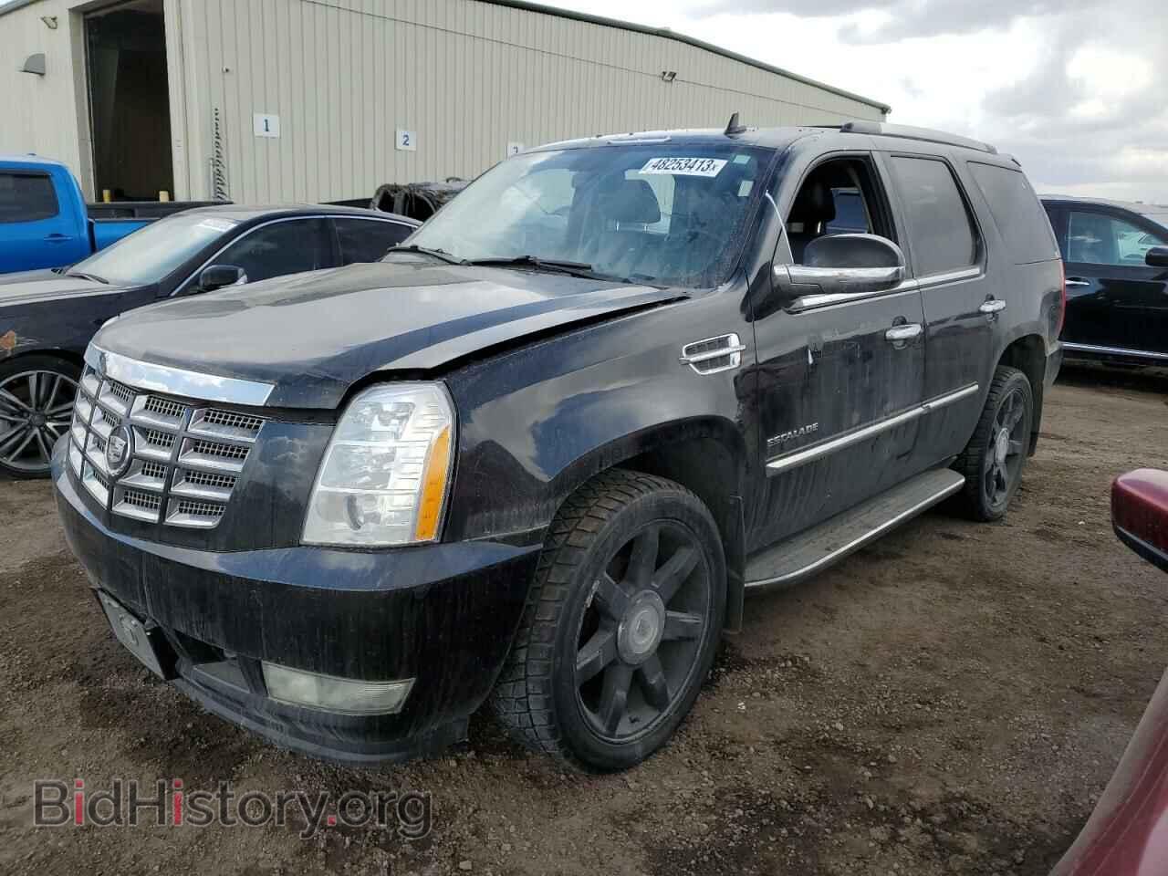 Photo 1GYUKBEF5AR213988 - CADILLAC ESCALADE 2010