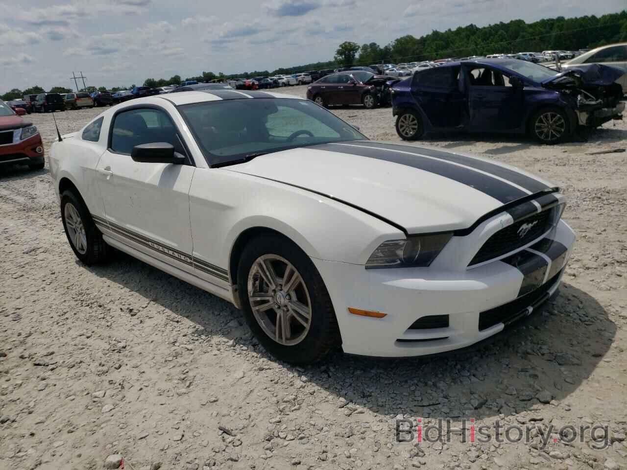 Photo 1ZVBP8AM1D5283308 - FORD MUSTANG 2013