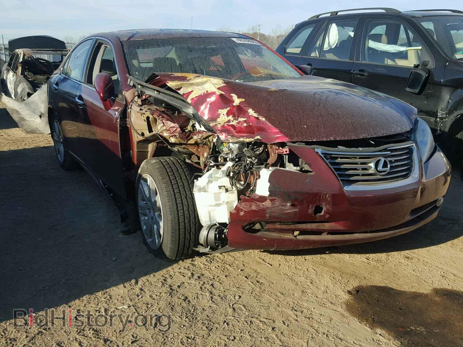 Photo JTHBJ46G682182030 - LEXUS ES350 2008