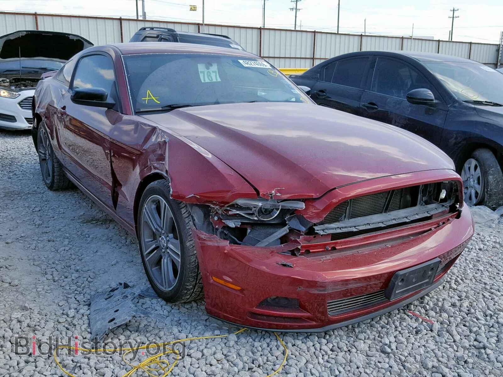 Фотография 1ZVBP8AM7E5320220 - FORD MUSTANG 2014