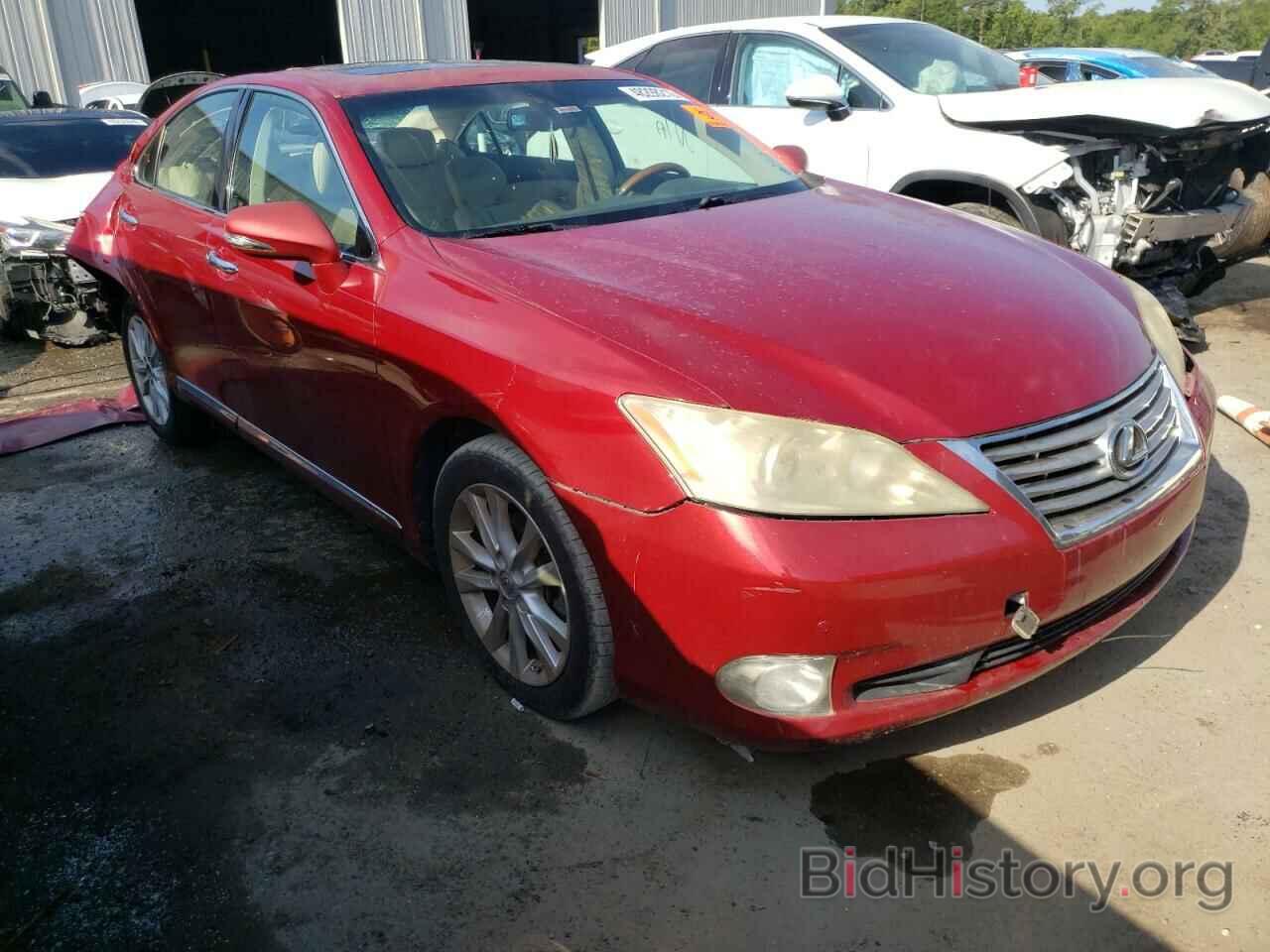 Фотография JTHBK1EG4A2386764 - LEXUS ES350 2010