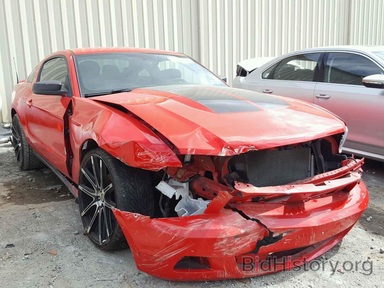 Photo 1ZVBP8AM8C5221340 - FORD MUSTANG 2012