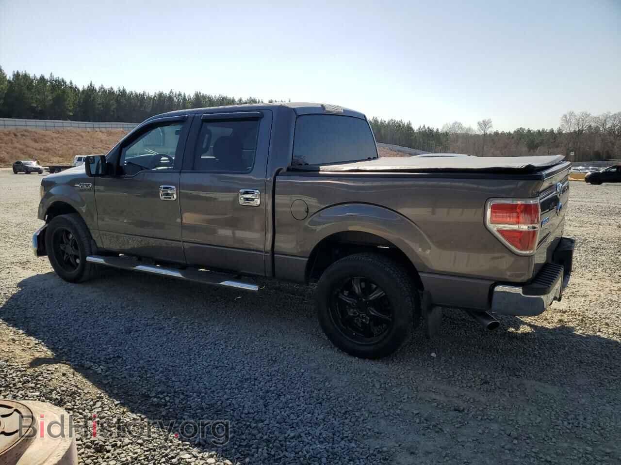 2014 FORD F-150 - VIN: 1FTEW1CM1EFB03263 - Фото 2