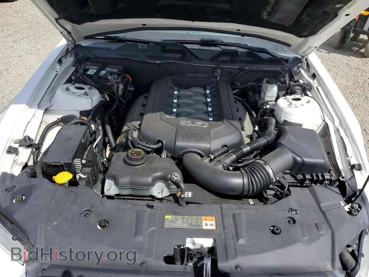 2013 FORD MUSTANG - VIN: 1ZVBP8CF6D5282394 - Photo 11