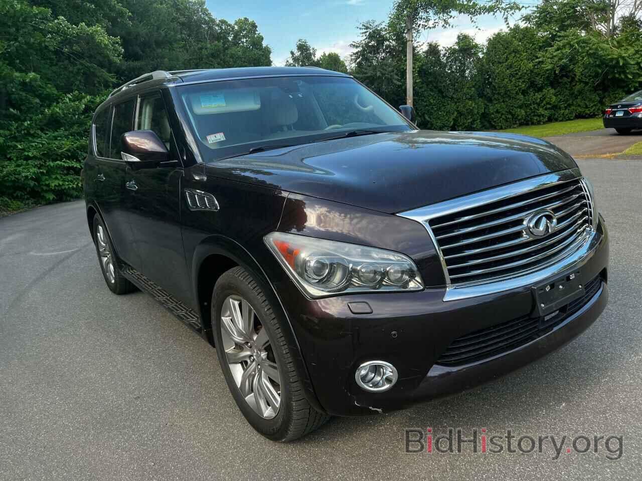 Photo JN8AZ2NC1B9300321 - INFINITI QX56 2011