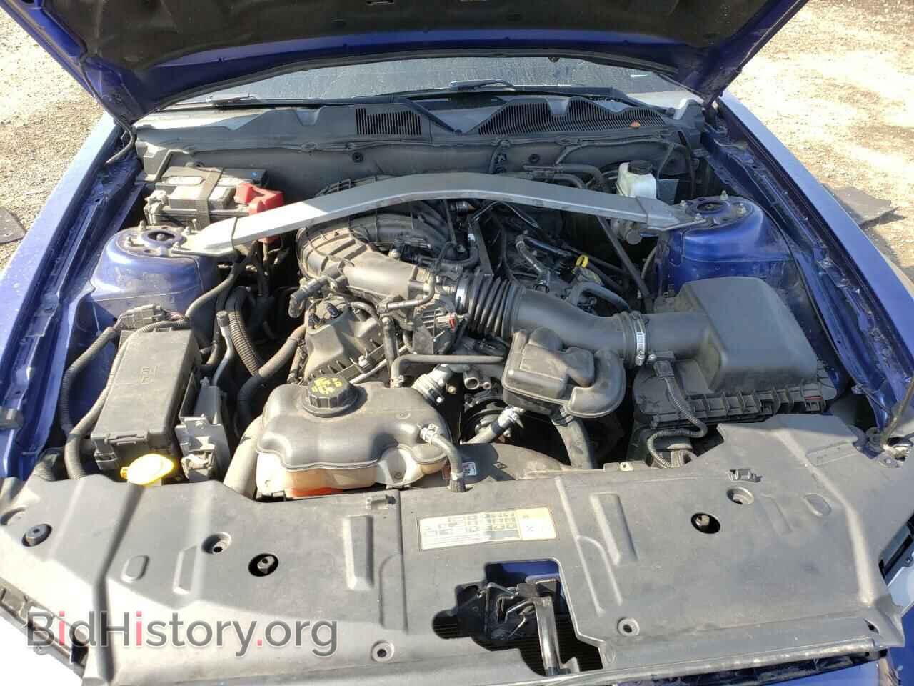 2013 FORD MUSTANG - VIN: 1ZVBP8EM5D5237300 - Фото 7