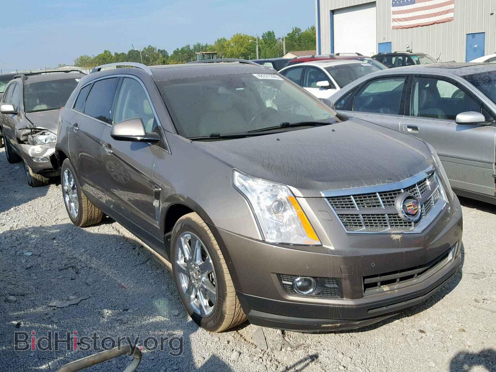 Фотография 3GYFNBE3XCS529909 - CADILLAC SRX PERFOR 2012