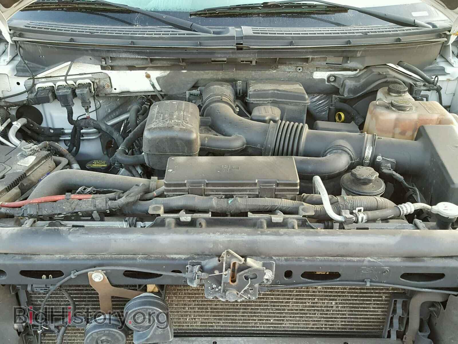 2010 FORD F150 - VIN: 1FTFW1EV1AFA72875 - Фото 7