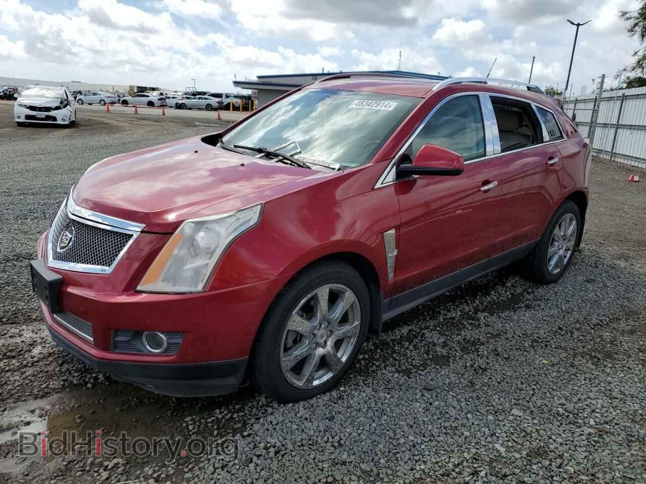 Фотография 3GYFNFEY9BS565771 - CADILLAC SRX 2011