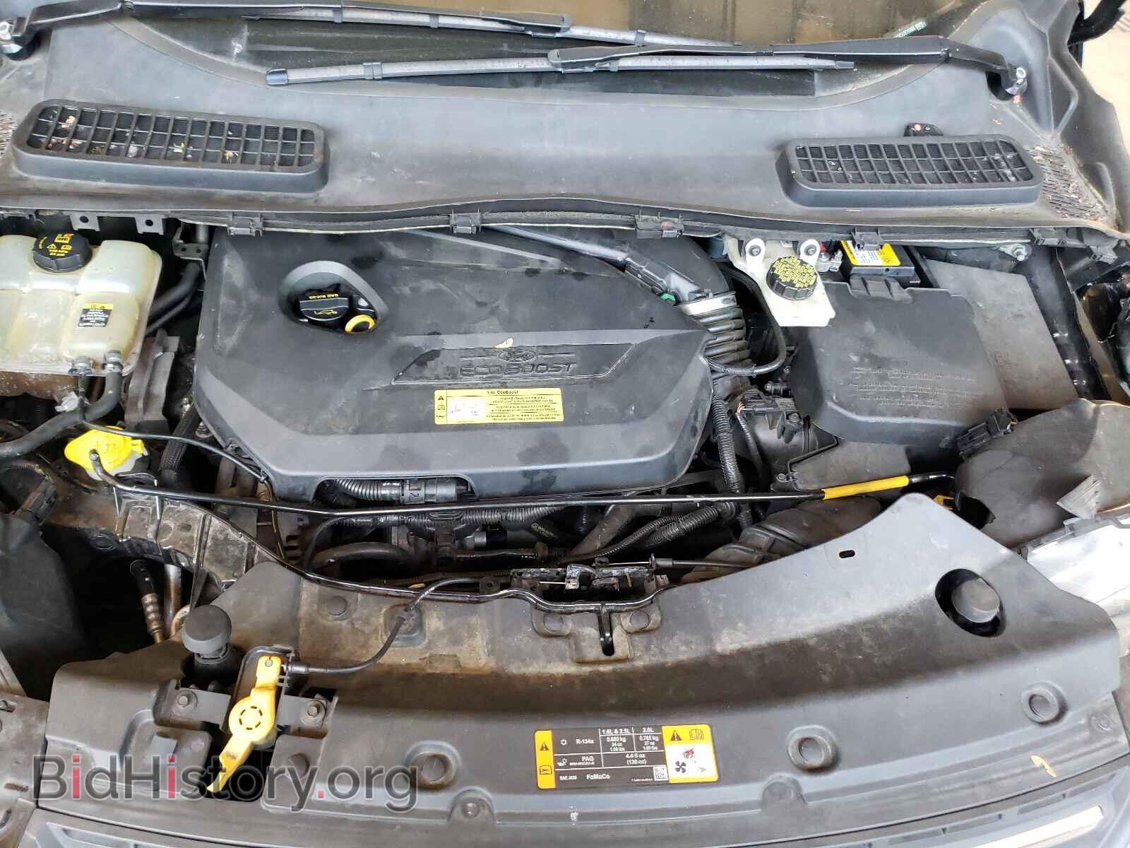 2013 FORD ESCAPE - VIN: 1FMCU0GX9DUB76088 - Photo 7