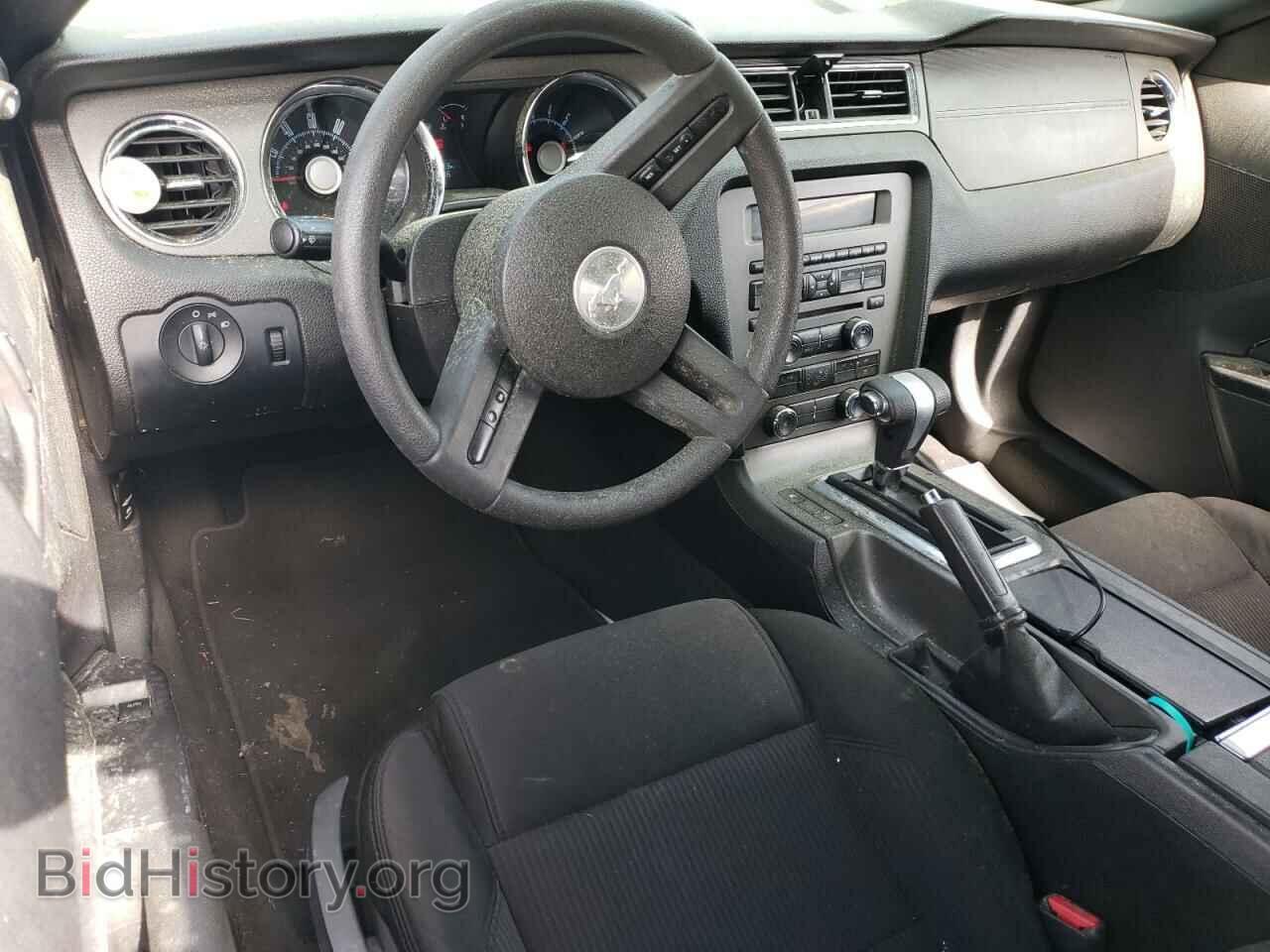 2010 FORD ALL Models - VIN: 1ZVBP8AN2A5157821 - Фото 8