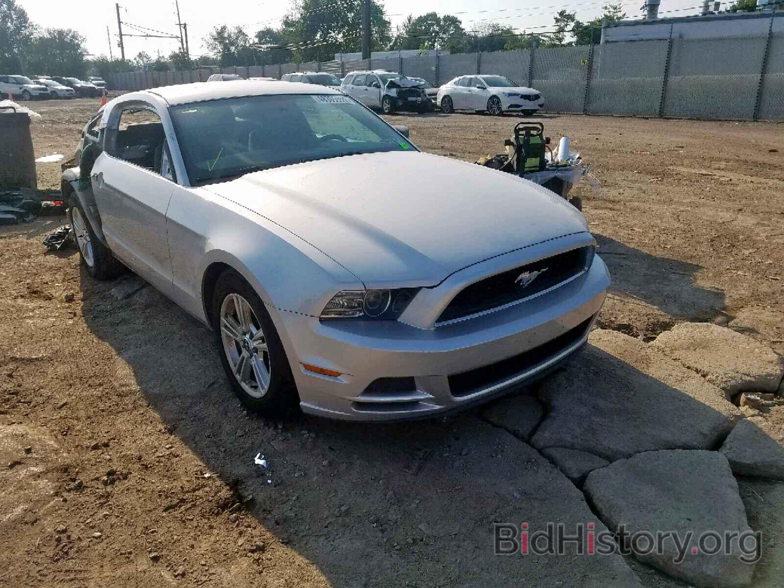 Photo 1ZVBP8AM4D5221966 - FORD MUSTANG 2013