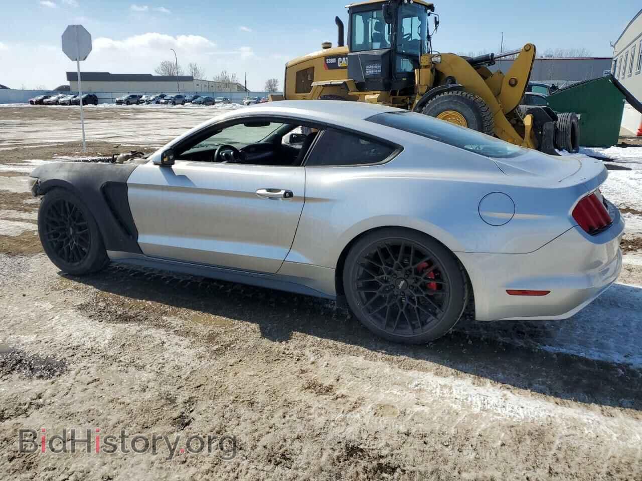2017 FORD ALL Models - VIN: 1FA6P8TH1H5229166 - Фото 2