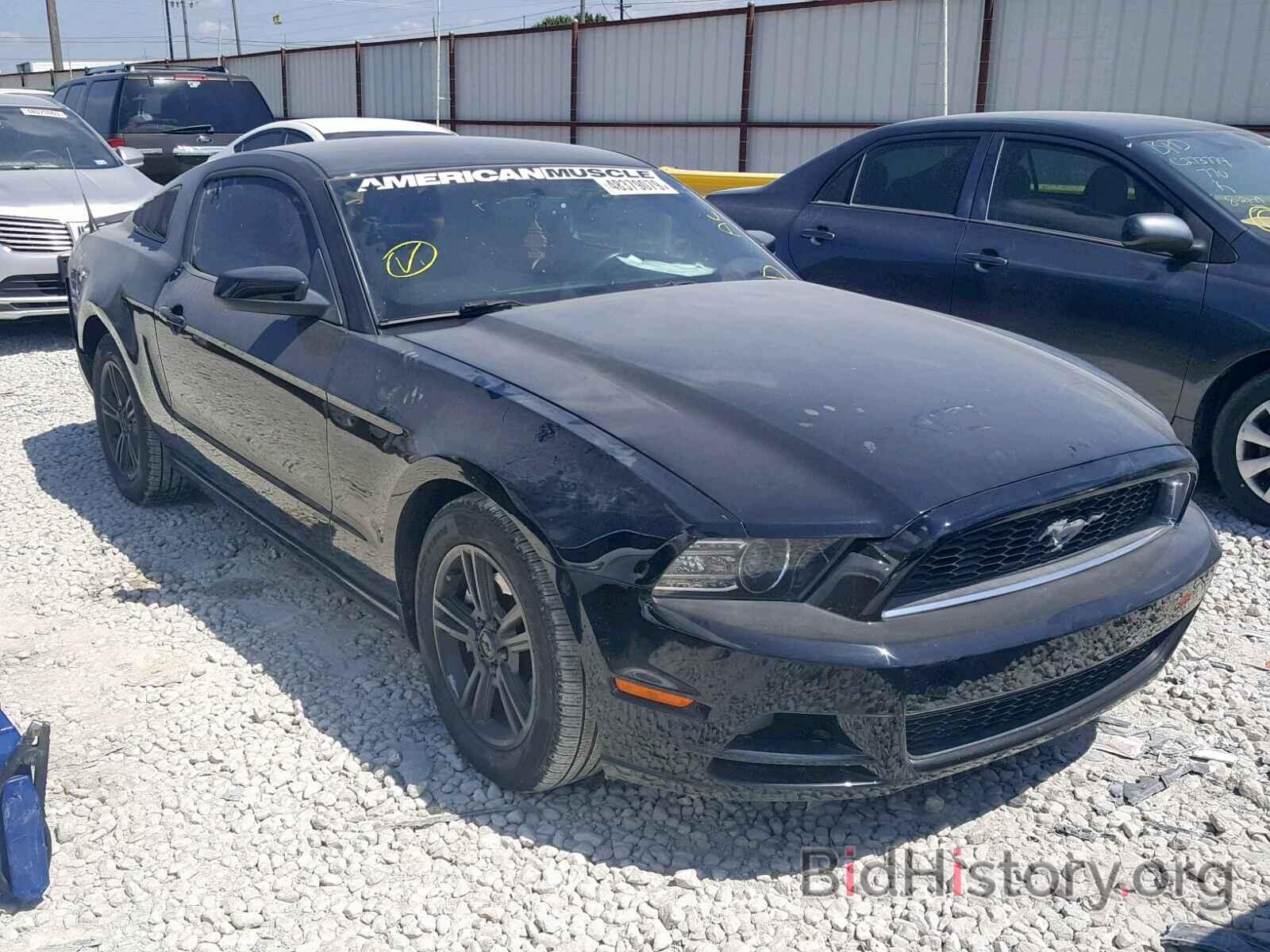 Photo 1ZVBP8AM8D5227480 - FORD MUSTANG 2013