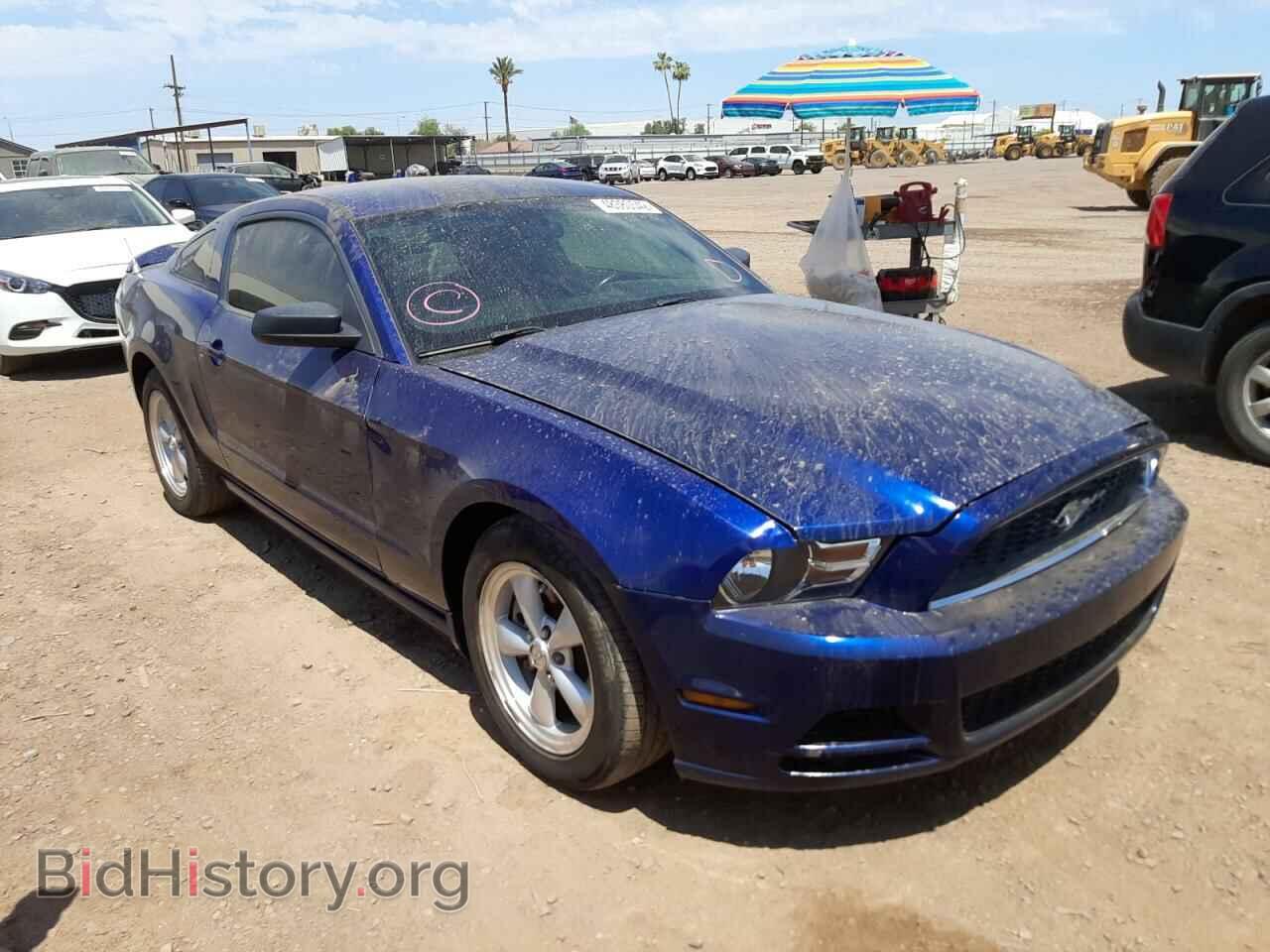 Фотография 1ZVBP8AM9E5250414 - FORD MUSTANG 2014